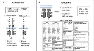 <mark class="highlighted">Precision oncology</mark> for RET-related tumors